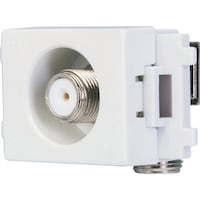 ���{�A���e�i�@���^�e���r�[�q