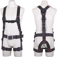 srtxnqnm@򉍃n[lX@n[lX{̂̂݁@