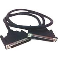 �l�n�w�`�@�c�a�U�Q�I�X�^�c�a�U�Q���X�@�P�[�u���@�P