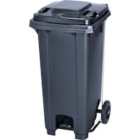 �J�C�X�C�}�����@�y�_�����_�X�g�J�[�g�@�j�s�o�P�Q�O