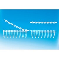 �s�f�j�@�o�b�q�W�A�`���[�u�E�L���b�v�t�@�O�D�Q���k