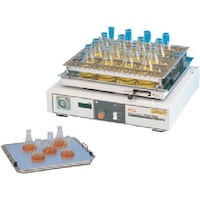 �s�f�j�@�m�w�p�X�v�����O�Uṑ�@�a�^