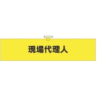 �����@�w���A�r�́@����㗝�l