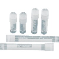 sfj@NCIoCA@QDOk@oo@TO