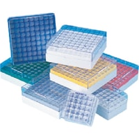 sfj@J[NCI{bNX@ԁ@X~X