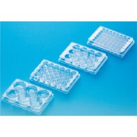 �s�f�j�@�}���`�E�F���v���[�g�@�P�Q�E�F���P�@�T�O��