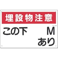 �����@�W���m���ݕ����Ӂn���̉����l��������@���R