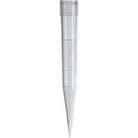 sfj@`bv@TO|POOOʂk@@VRQO