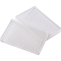 �s�f�j�@�}���`�f�B�b�V���X�U����v���[�g�@�T�O��