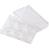 �s�f�j�@�}���`�f�B�b�V���U����v���[�g�@�U�O��