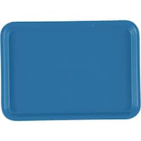 �s�j�f�@�L�����u���J���g���[�i�e�q�o�j�@�T�V�@�z��