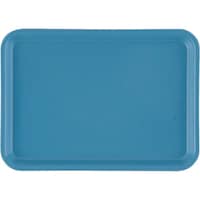 �s�j�f�@�L�����u���J���g���[�i�e�q�o�j�@�T�V�@���r