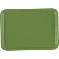 �s�j�f�@�L�����u���J���g���[�i�e�q�o�j�@�T�V�@���C