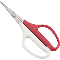 �s�j�f�@�_�����@�_�����@�}�C�e�[�X�����J�b�g�@���n