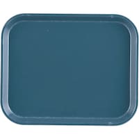 �s�j�f�@�L�����u���J���g���[�i�e�q�o�j�@�P�O�P�S�@