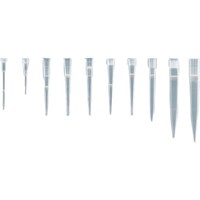 sfj@bN`bv@P|POOʂk@XURT@