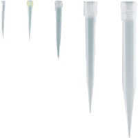 sfj@`bv@Q|POk@@XSR@POO