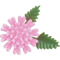 �s�j�f�@���n�Ɓ@�v���e�B�t�����[�@���e�@�s���N�@�i