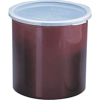 �s�j�f�@�L�����u���@�J���[�N���b�N�X�@�i�W�t�j�@�b