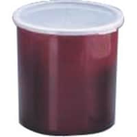 �s�j�f�@�L�����u���@�J���[�N���b�N�X�@�i�W�t�j�@�b