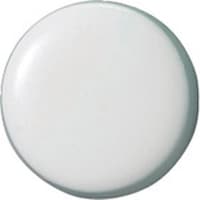 isw@RTSOWOjʋ̓J|}Olbg@P