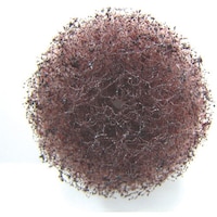 �A���S�t�@�C���@�o�t�|���b�V���[