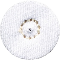 �A���S�t�@�C���@���{�ȕz�@���o�t