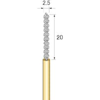 �A���S�t�@�C���@�����u���X�p�C�����u���V