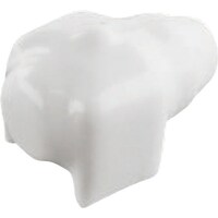 �m�d�f�t�q�n�r�t�@�N���b�v�p�ی�L���b�v�i�P�O��