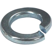 �R�m�G�@�S�@���j�N���@�΂ˍ����@�X�v�����O���b�V��