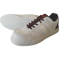 쑽@Z[teBXj[J[@@ljTOXO@zC