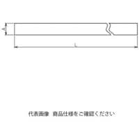 �t���d�@�@�L���C�V�[��