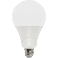 �������@�k�d�c�{�[�����C�g�֋�