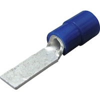 �j�`�t�@���z���`�≏�핢�t�����[�q�@�a�s�`�i�P�O