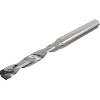 �C�X�J���@�X���E�J���@�w�b�h�������h�����{�f�B�i�~