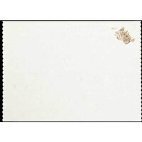 �单�@�V�Ղ�~���l�G�@�i�I�R�[�j