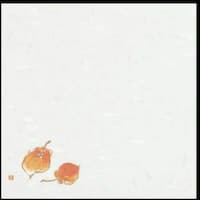 �单�@�G�񂹉����@�m���D�R�T�@�ق��Â�