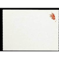 �单�@�V�Ղ�~���l�G�@�i�G�r�j