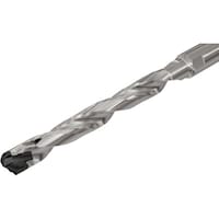 �C�X�J���@�X���E�J���@�w�b�h�������h�����{�f�B�i�~