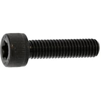 �r�t�m�b�n�@���j�b�P���@�s�n�q�~�|�b�`�o�@�T�~�W�@