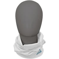 ���x���^�@�X���@�t���[�Y�e�b�N�p�t�H�[�}���X�@����