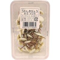 v`jh@J[~e@ar|SQU@AC{[@