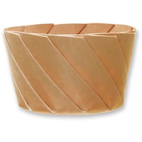 �V���W�}�@���肪�݃J�b�v�@���@�����@�Q�O����