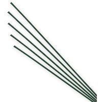 �V���W�}�@�F�����@���t�@�P�O�O�{����