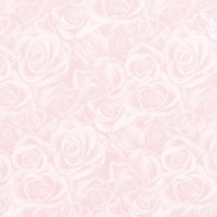 gdhjn@@OCXt@o@ˁ@TO