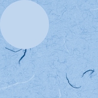 gdhjn@@ӂс@@ˁ@POO