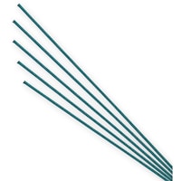 �V���W�}�@���������@���t�@�P�O�O�{����