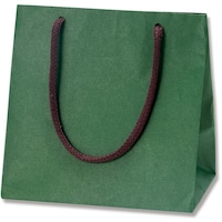 gdhjn@񂰎܁@J[`[obO@O