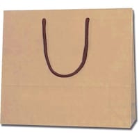 gdhjn@񂰎܁@J[`[obO@N