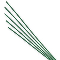 �V���W�}�@�F�����@�@�P�O�O�{����